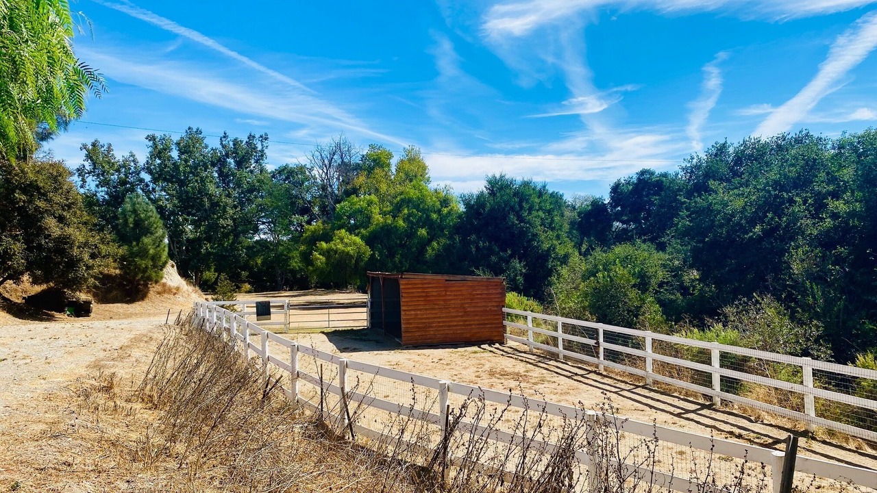 Photo of Others in Los Alamos