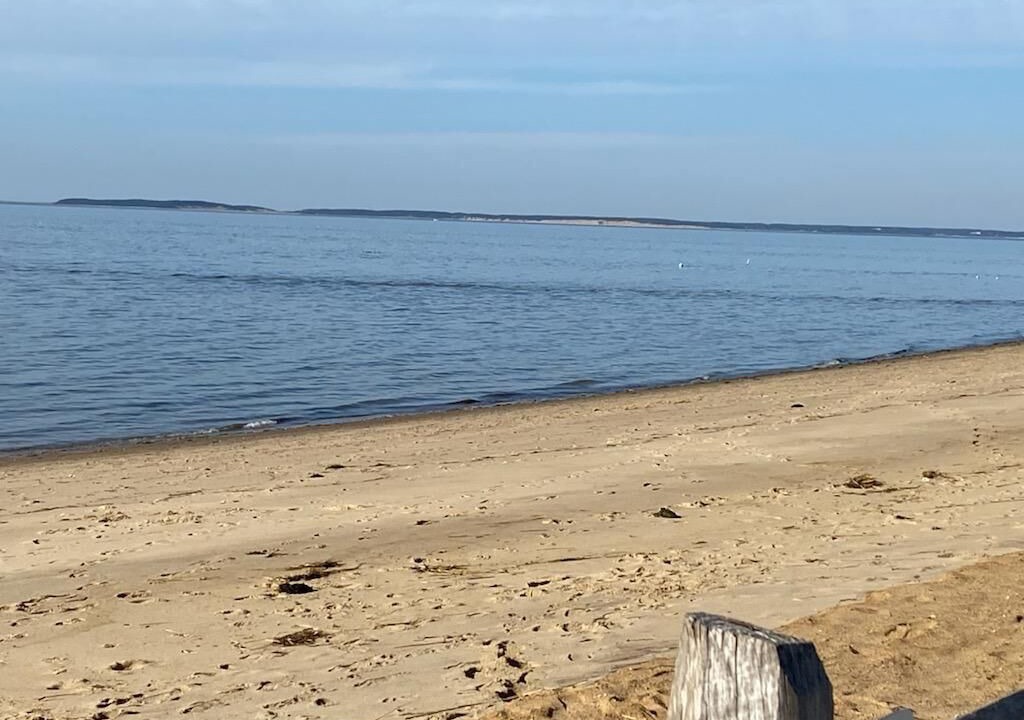 Photo of Others in North Eastham