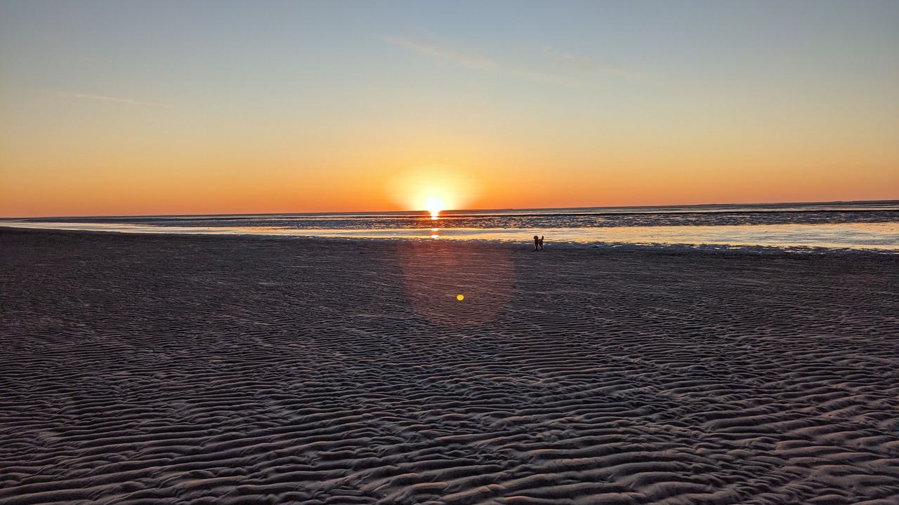 Photo of Others in North Eastham