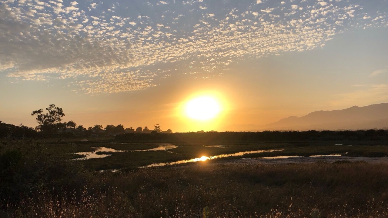 Photo of Others in Carpinteria