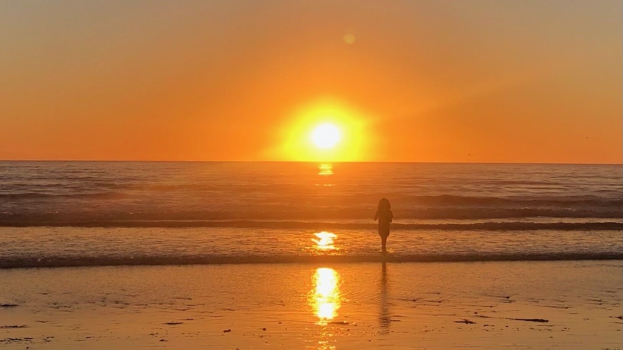 Photo of Others in Pierpont Bay