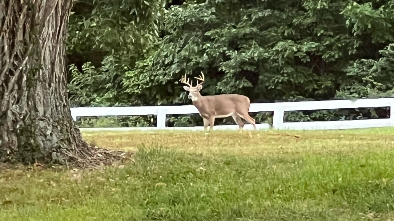 Photo of Outdoor in Millville