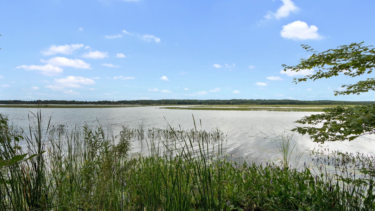 Photo of Others in Weyauwega