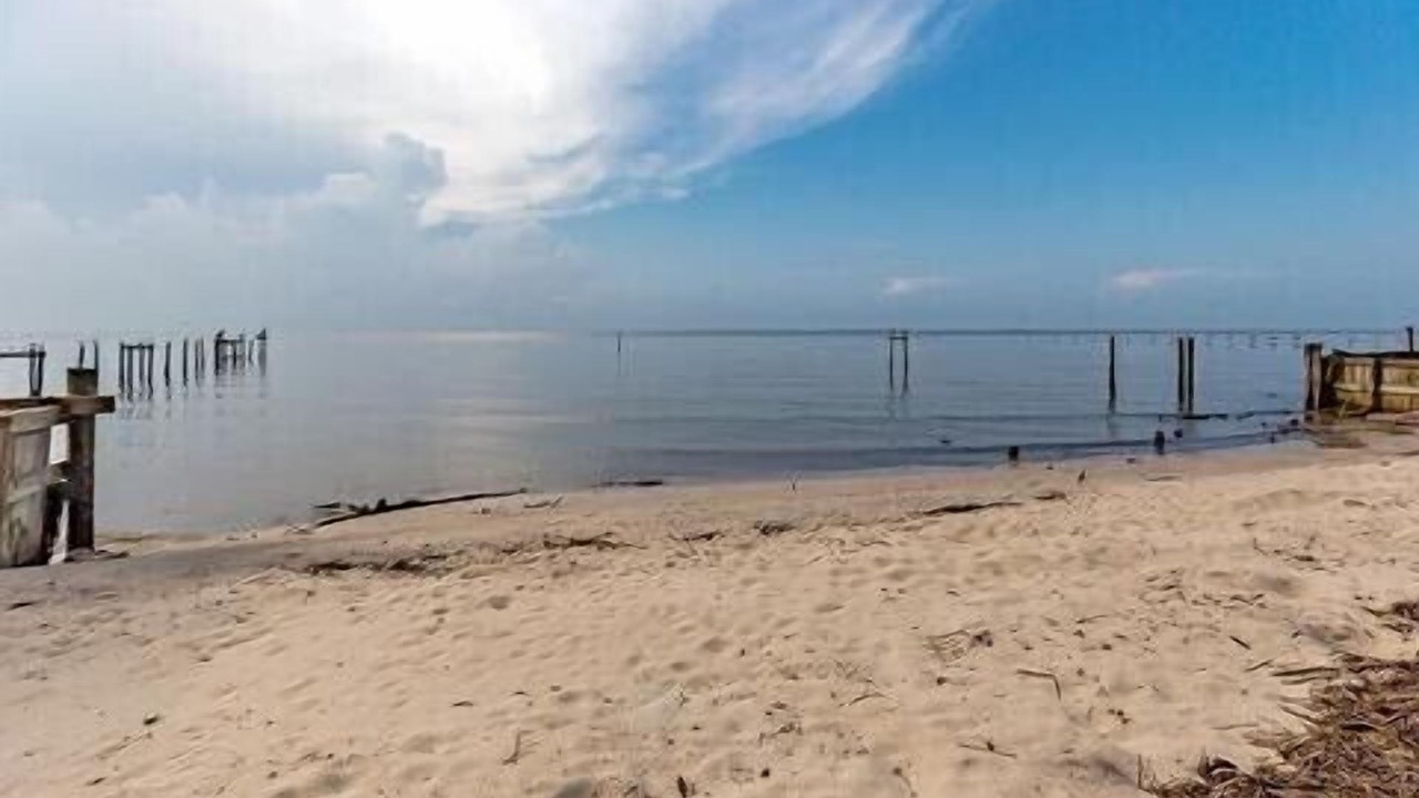 Photo of Others in Ocean Springs