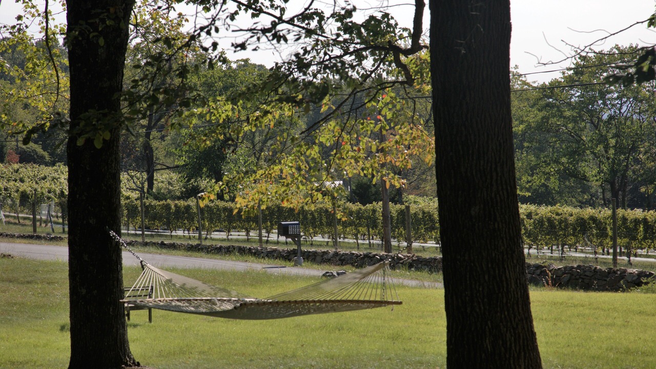 Photo of Outdoor in Blue Ridge