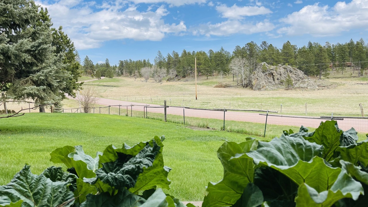 Photo of Others in Custer