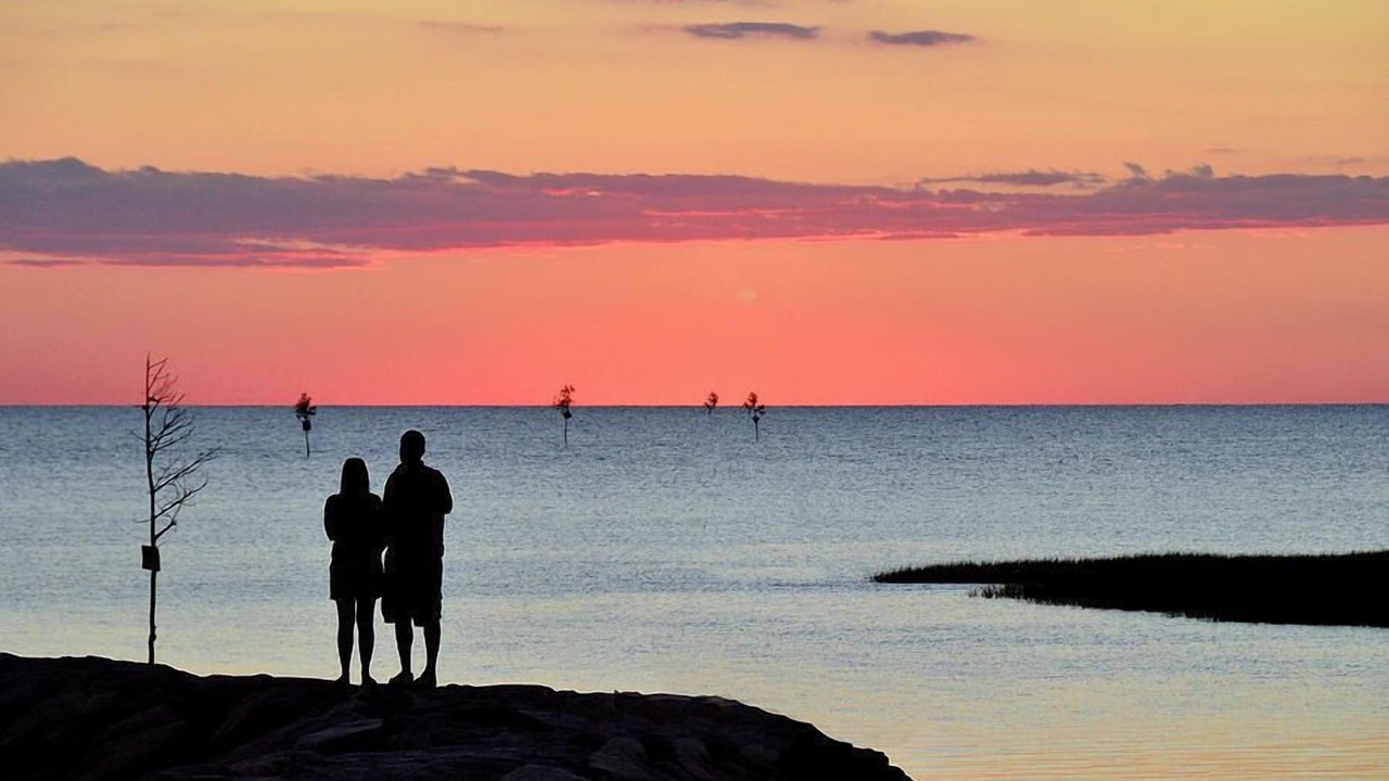 Photo of Others in North Eastham