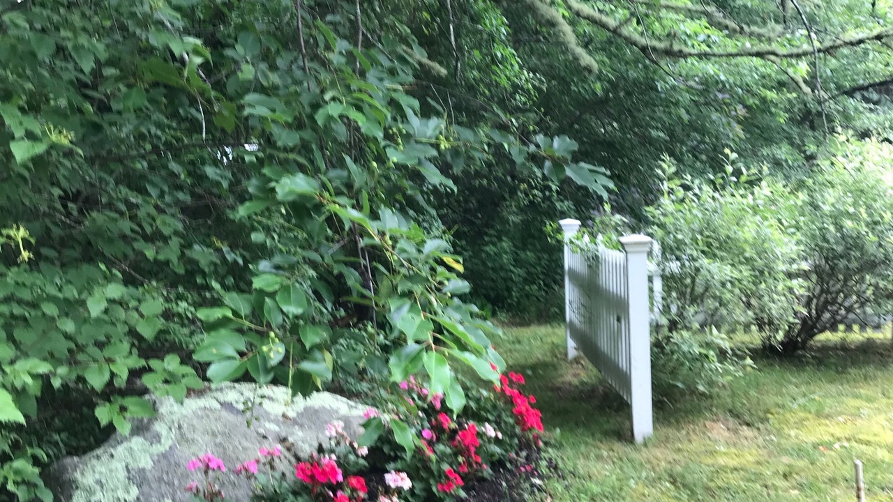 Photo of Outdoor in Brewster