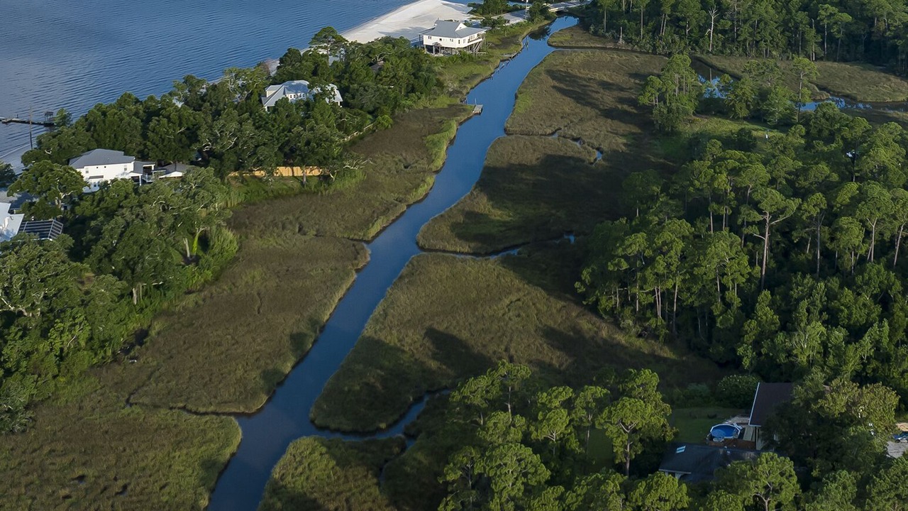 Photo of Others in Ocean Springs