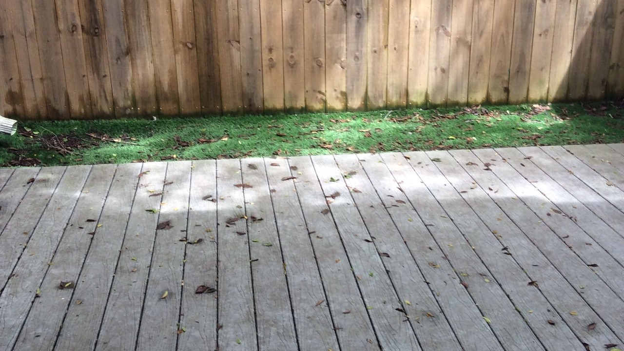 Photo of Outdoor in South Baton Rouge