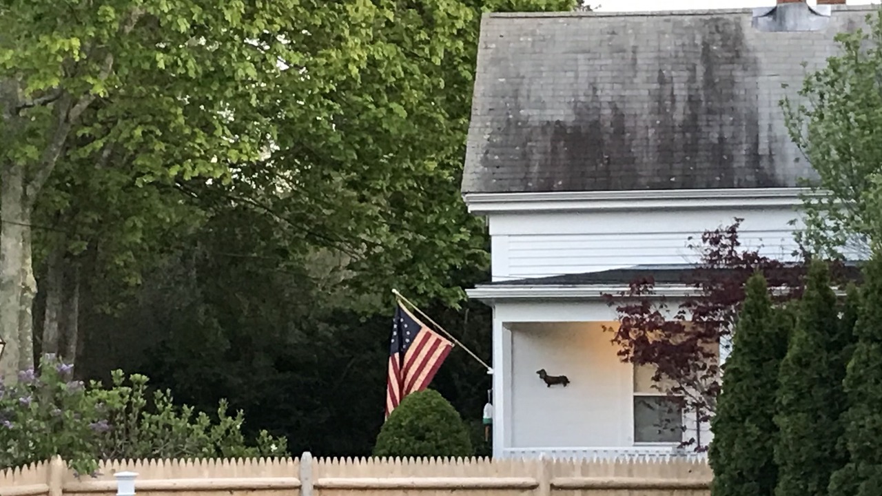 Photo of Outdoor in Yarmouth Port