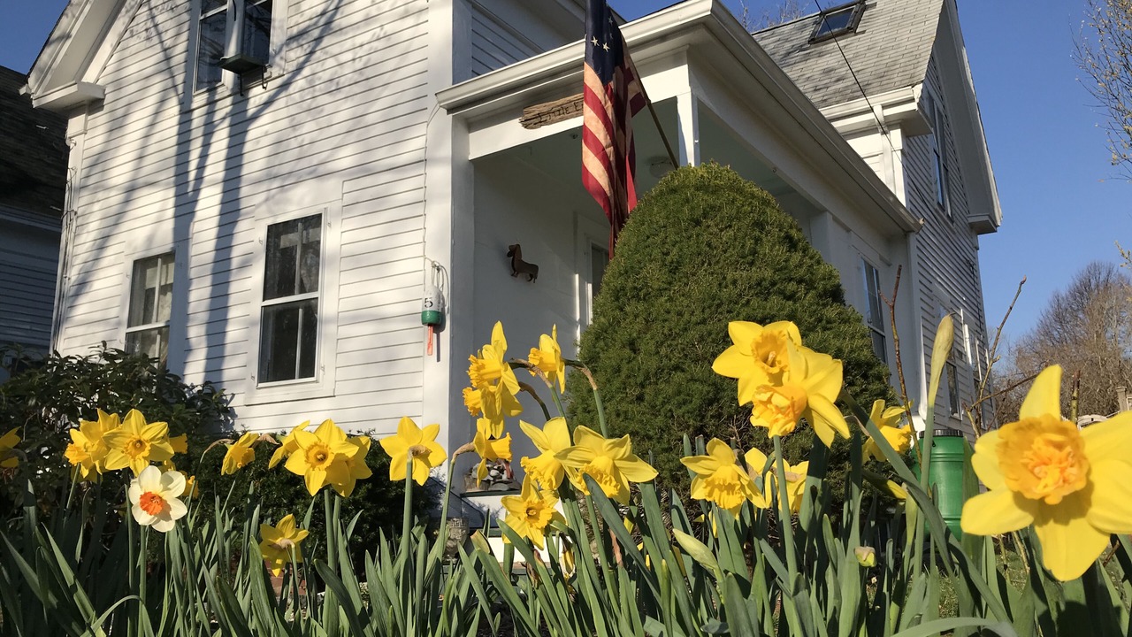 Photo of Outdoor in Yarmouth Port