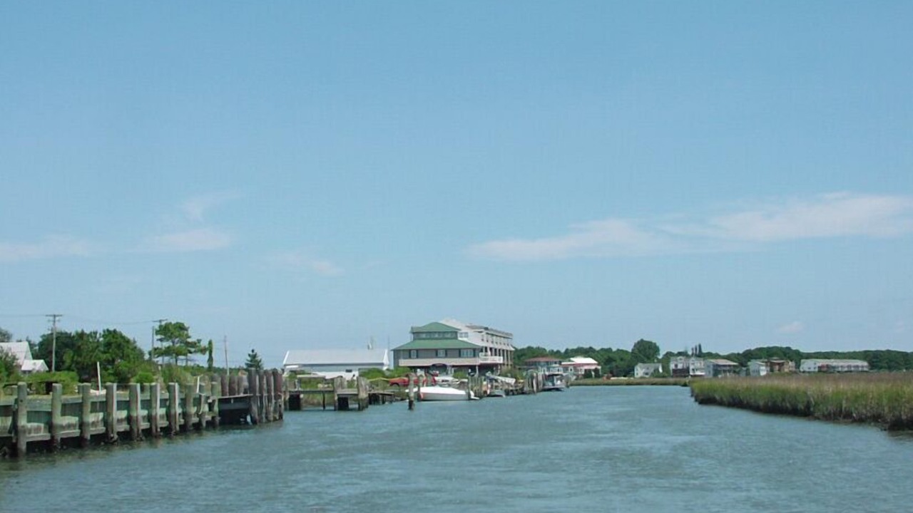 Photo of Others in Chincoteague