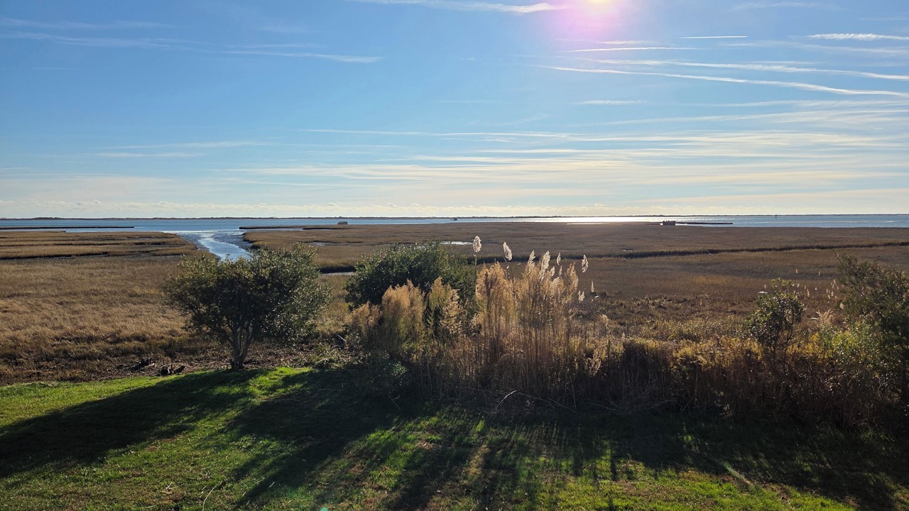 Photo of Others in Assateague Pointe
