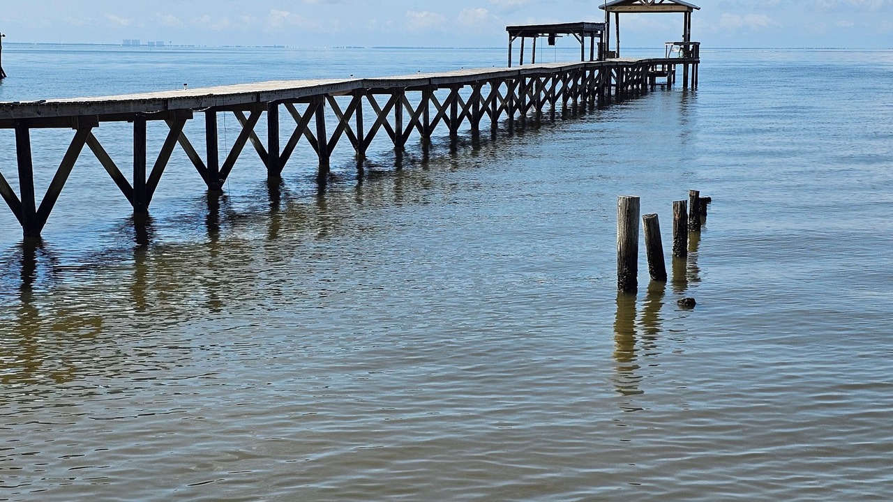 Photo of Others in Fairhope