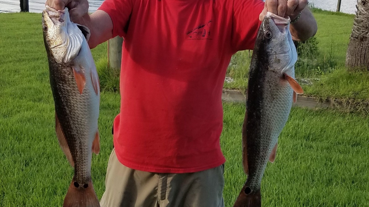 Photo of Outdoor in Gulfport