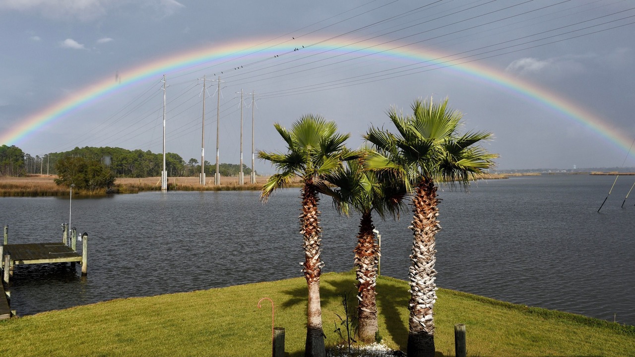 Photo of Others in Gulfport