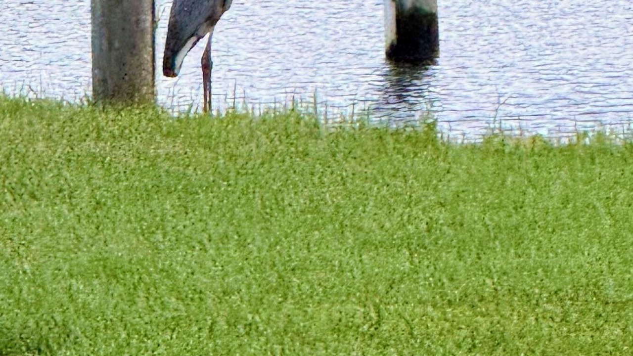Photo of Others in Gulfport