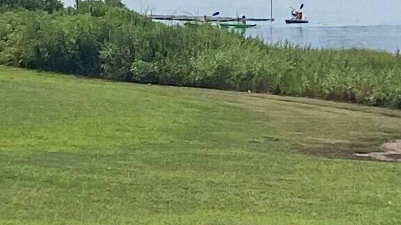 Photo of Others in Mara Vista