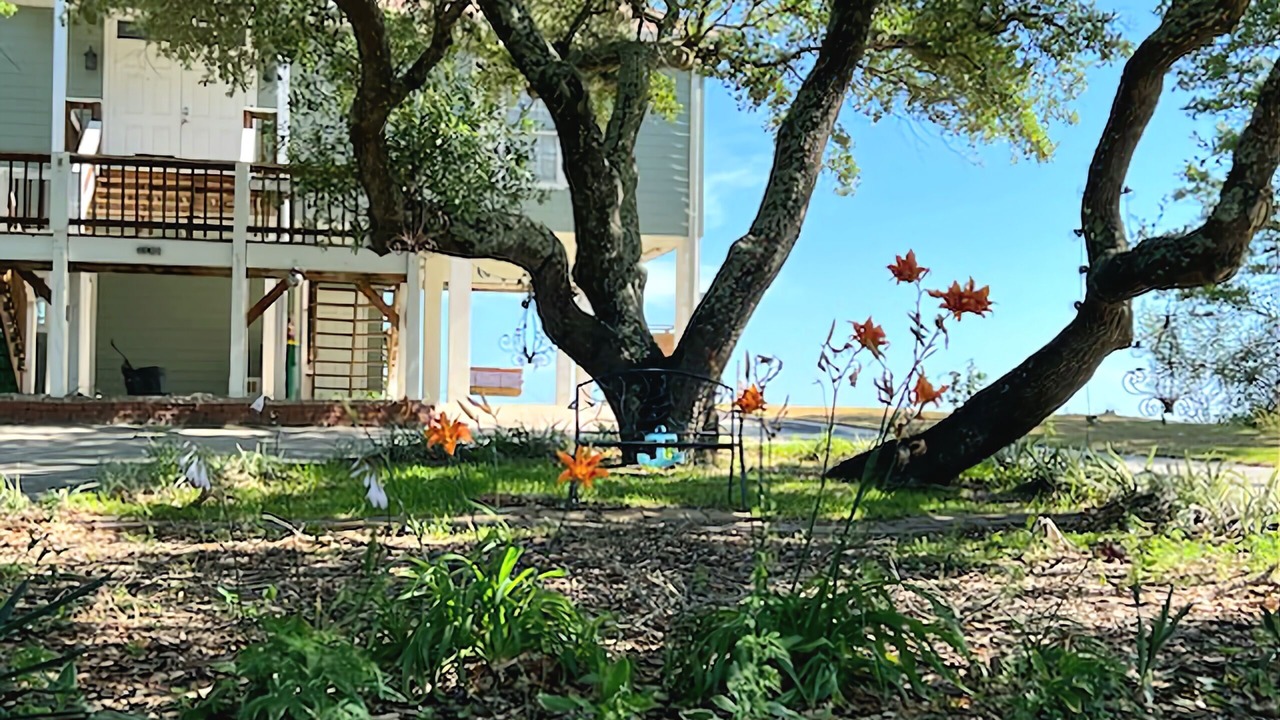 Photo of Others in Ocean Springs