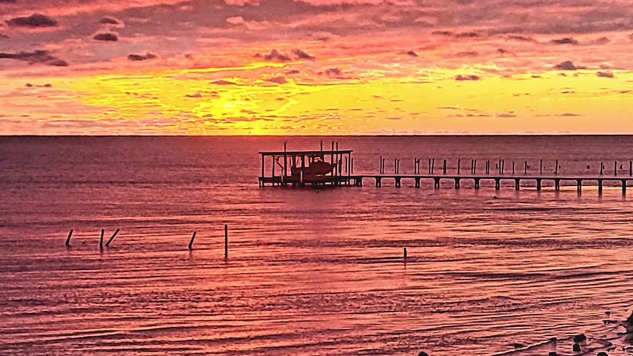 Photo of Outdoor in Ocean Springs
