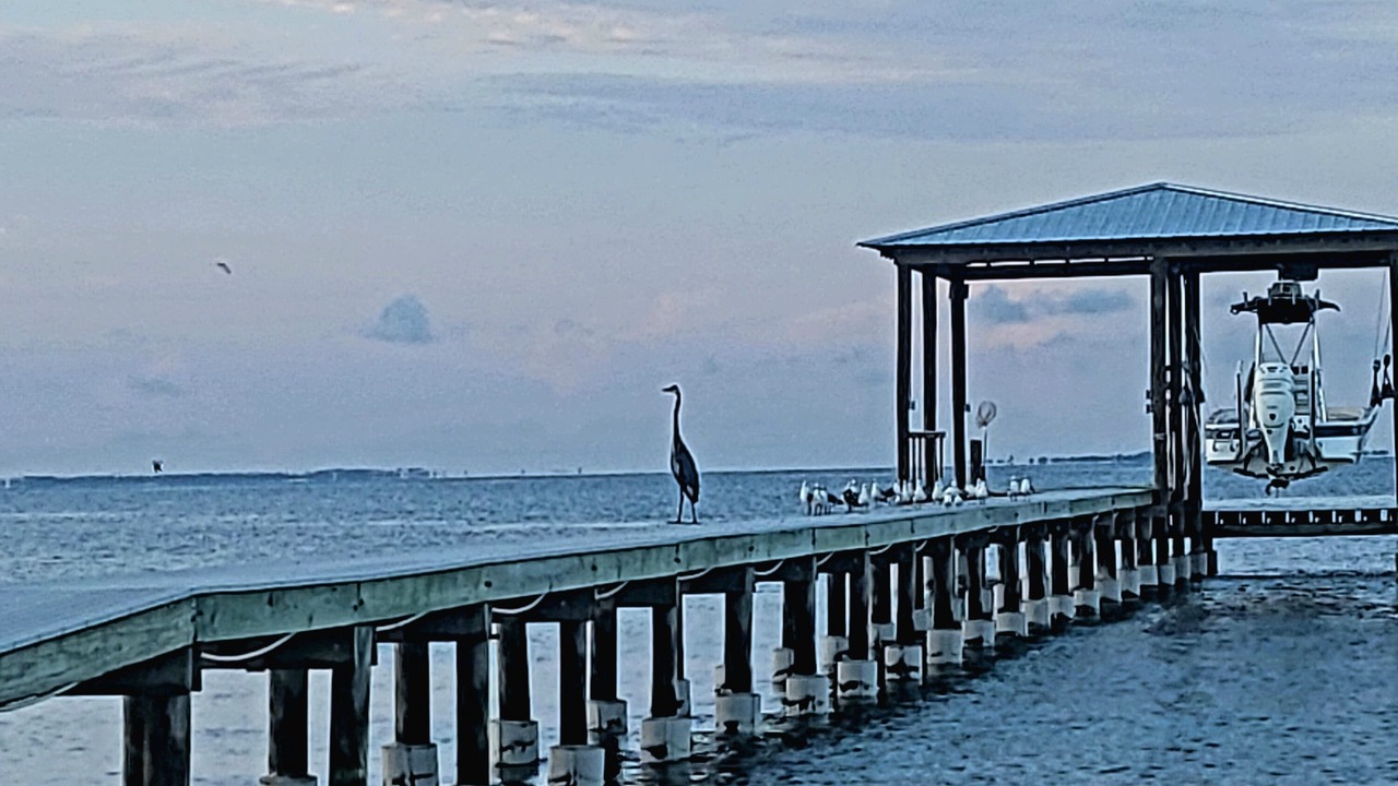 Photo of Others in Ocean Springs