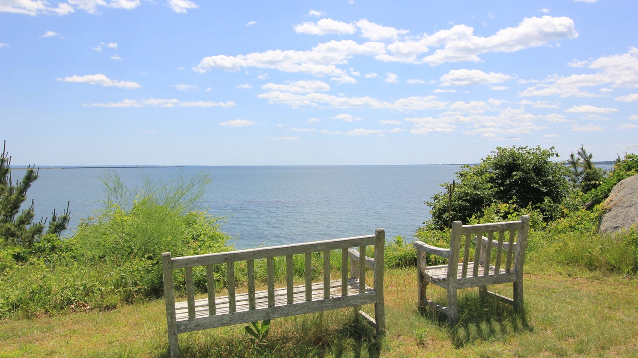 Photo of Outdoor in Wareham
