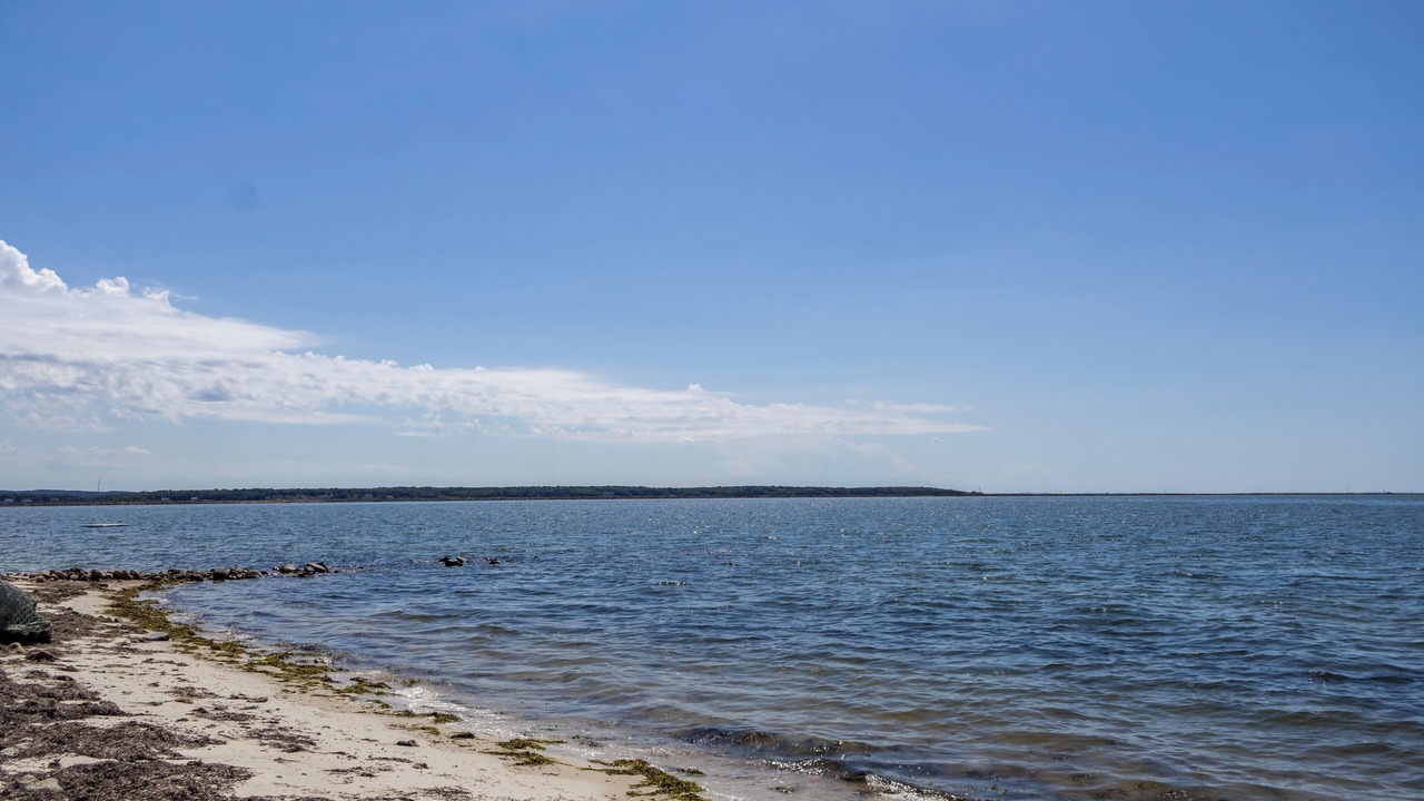 Photo of Others in Wareham