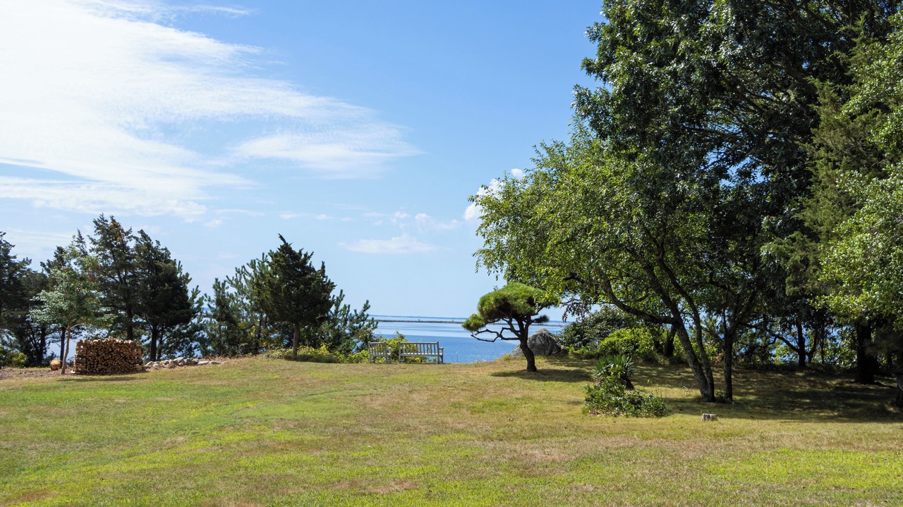 Photo of Outdoor in Wareham