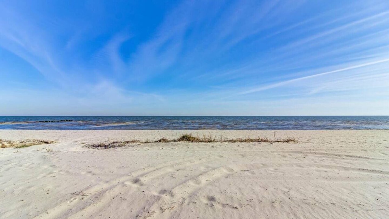 Photo of Others in Waveland
