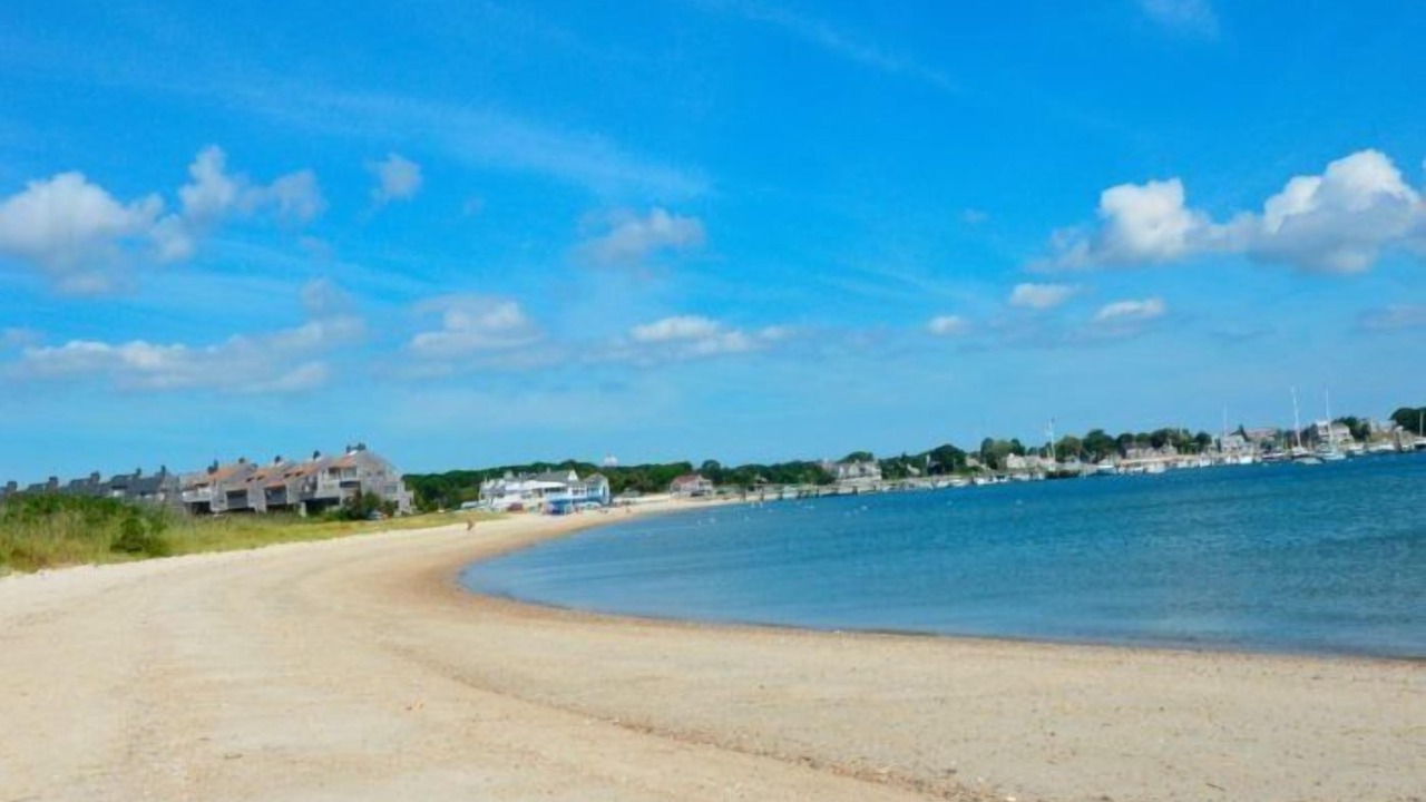 Photo of Others in Hyannis