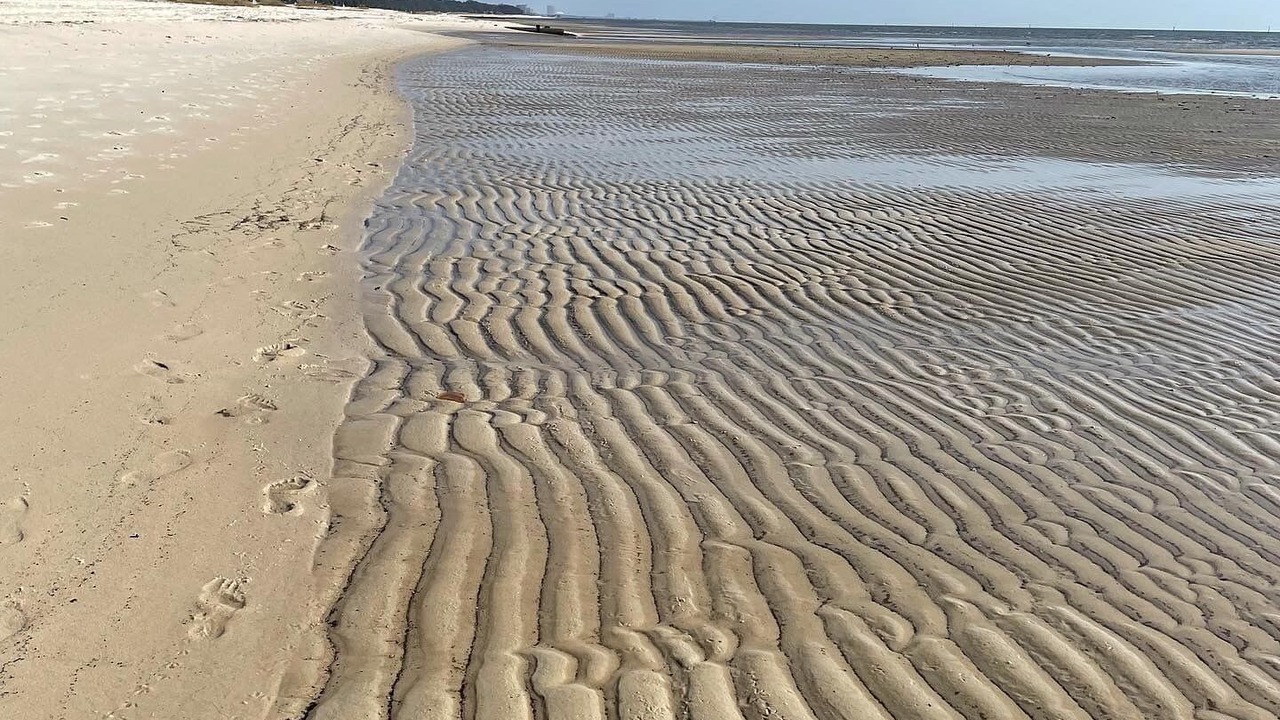 Photo of Others in Gulfport