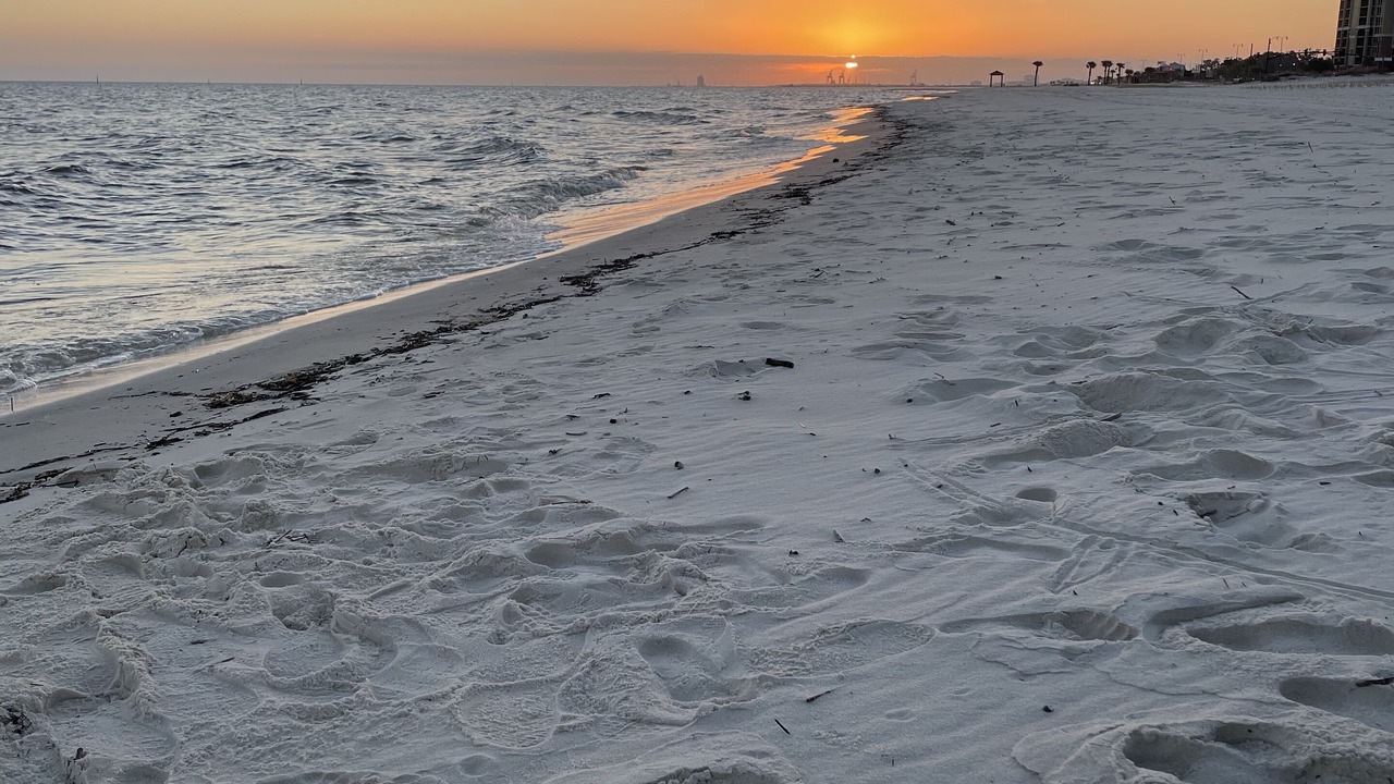 Photo of Others in Gulfport