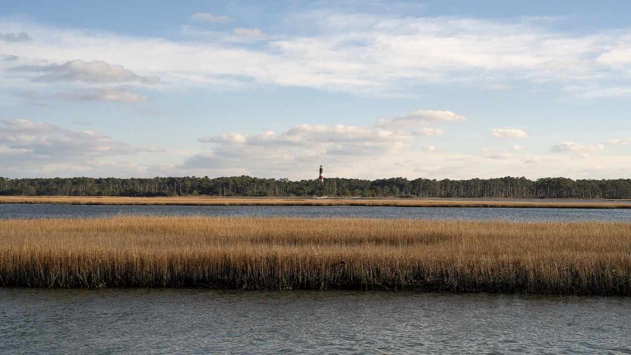 Photo of Others in Chincoteague
