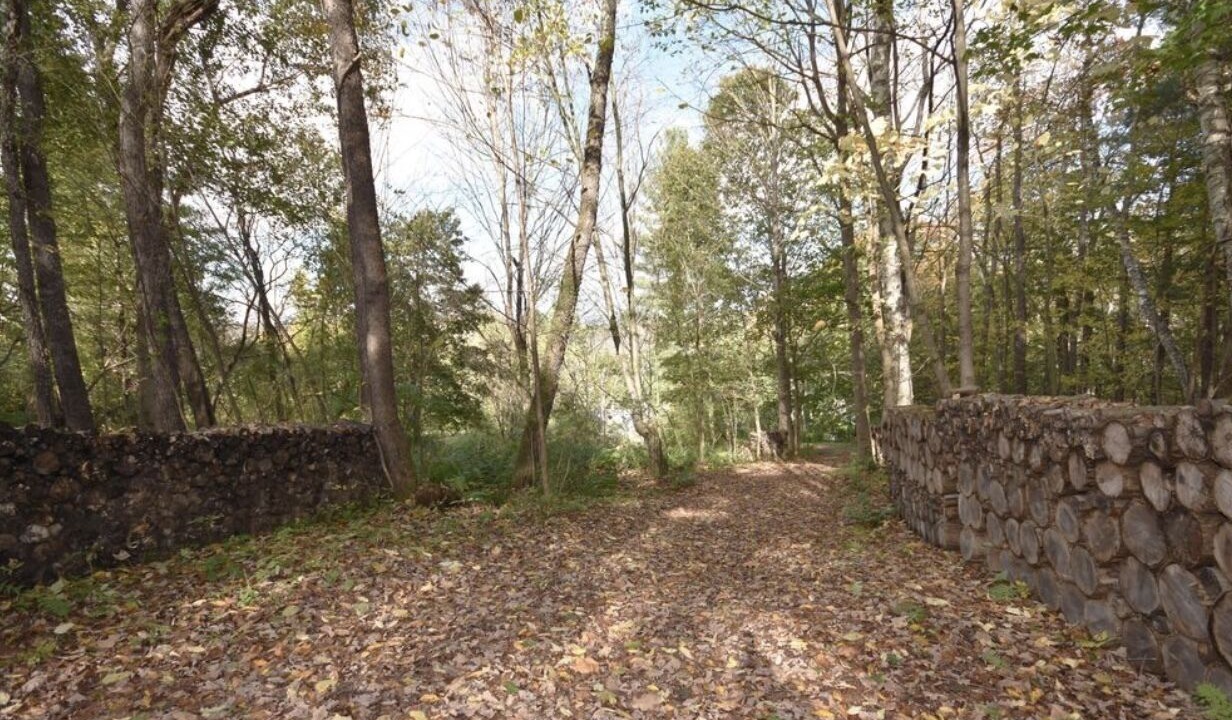 Photo of Outdoor in Pittsfield