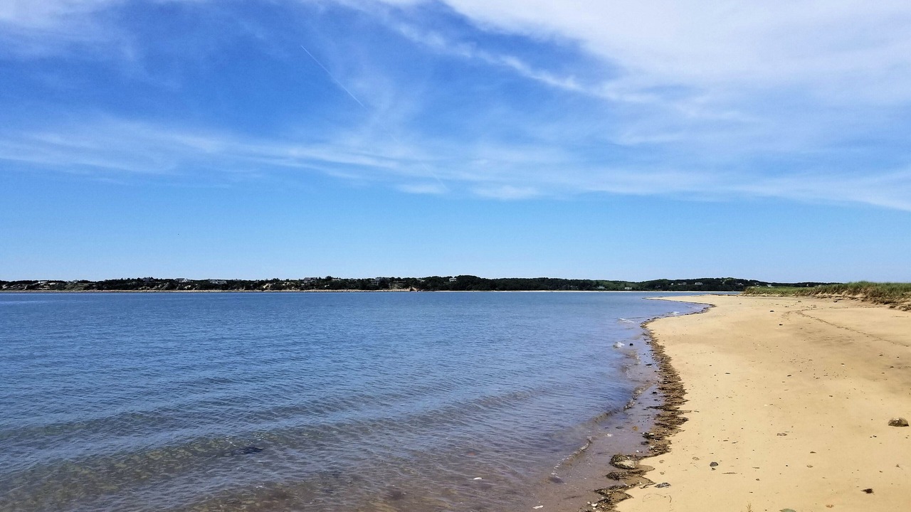 Photo of Others in Wellfleet