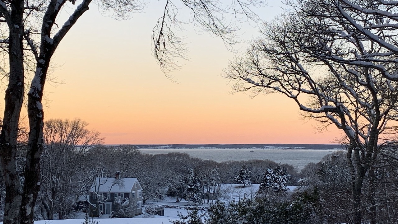 Photo of Others in West Tisbury