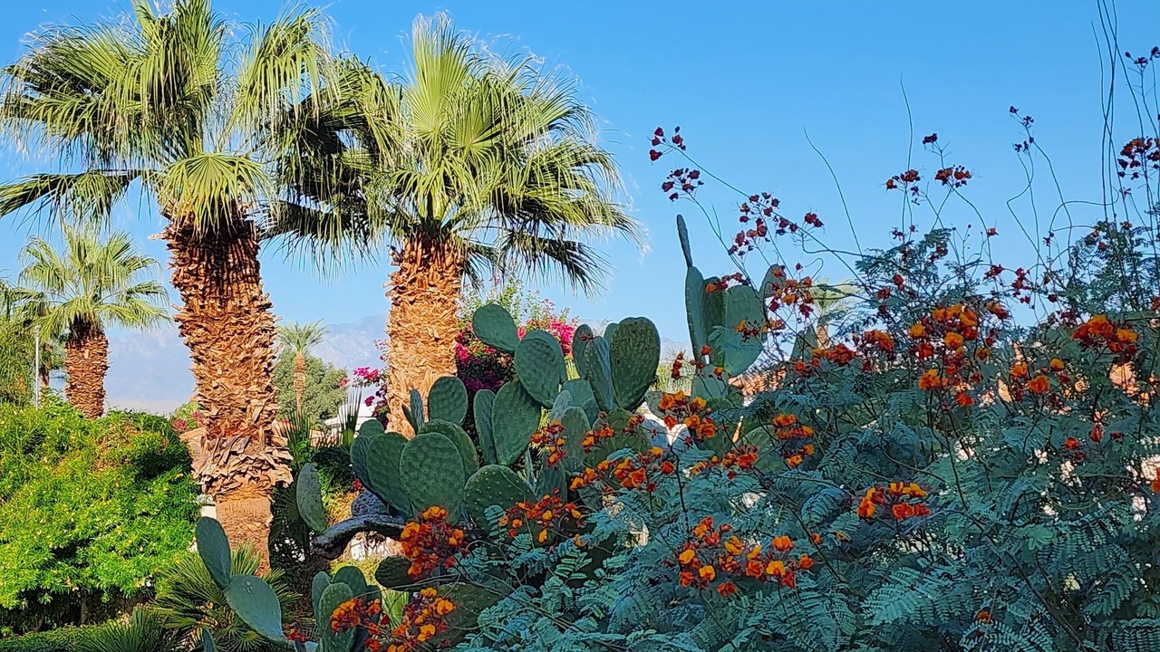 Photo of Outdoor in Indian Wells