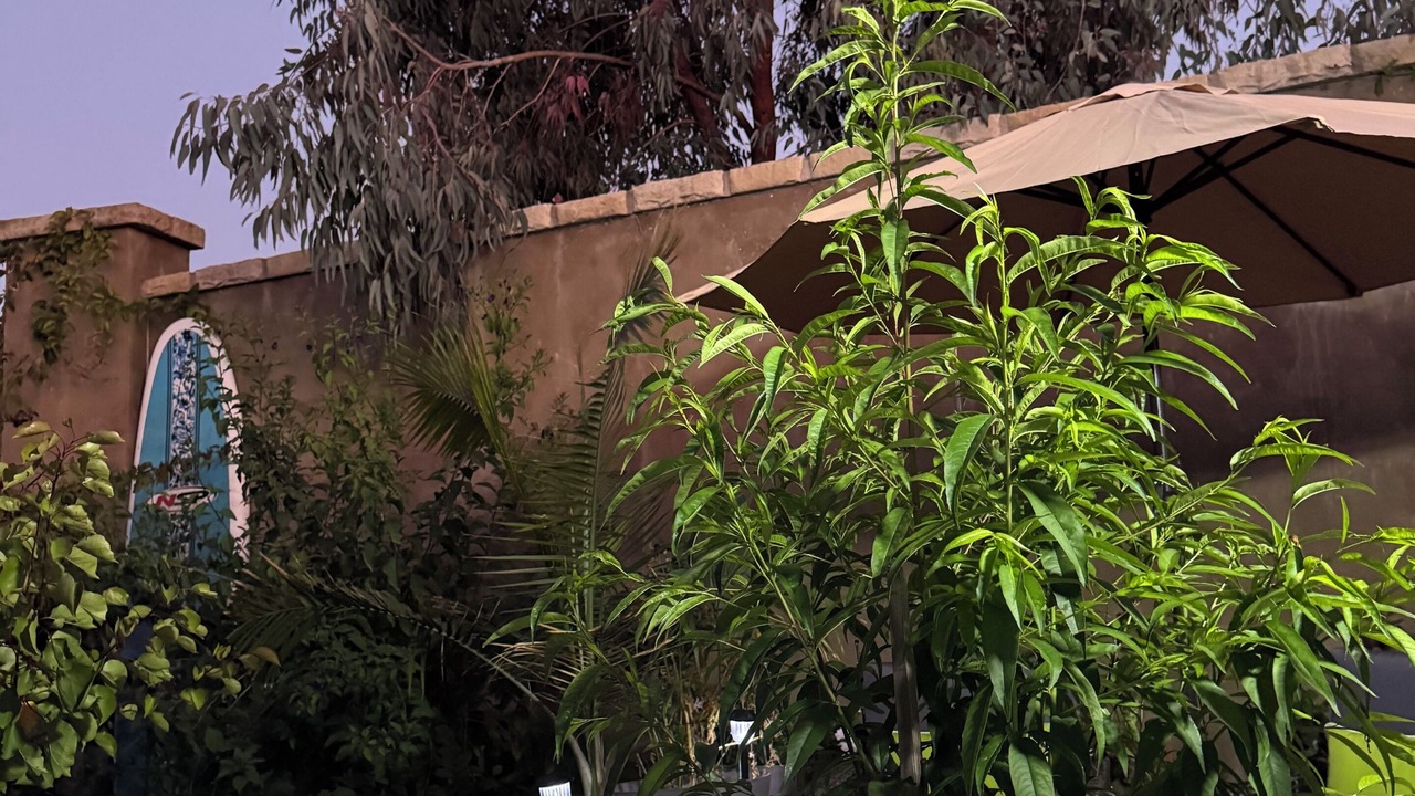 Photo of Outdoor in Eastside