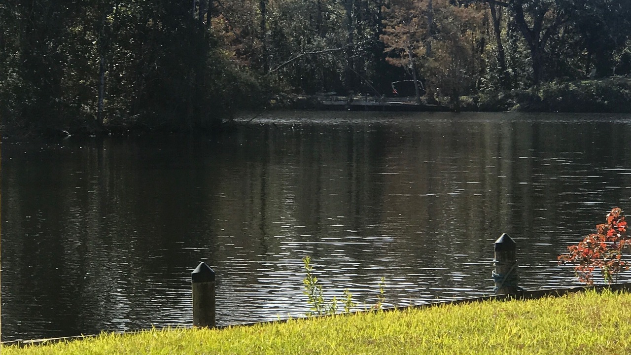 Photo of Outdoor in Gulfport