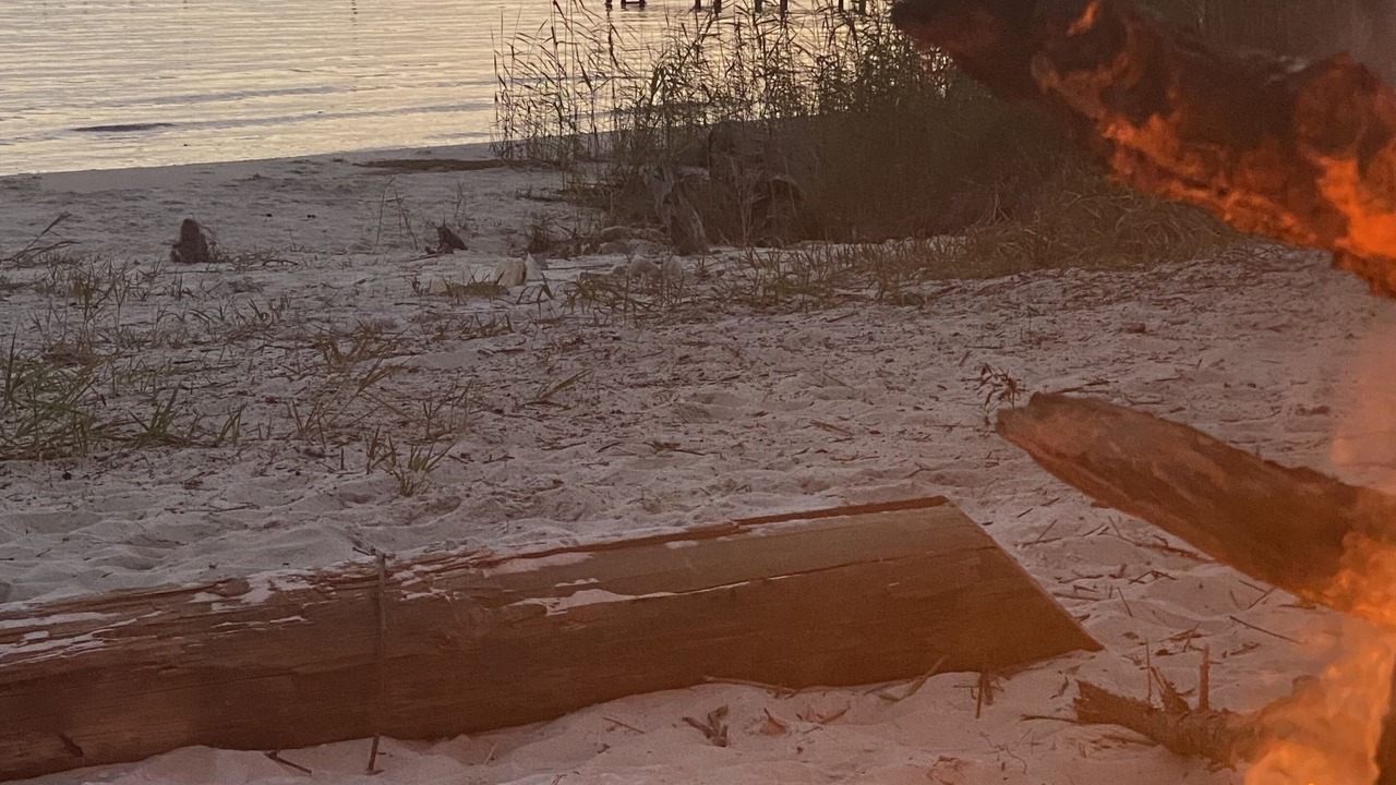 Photo of Others in Ocean Springs