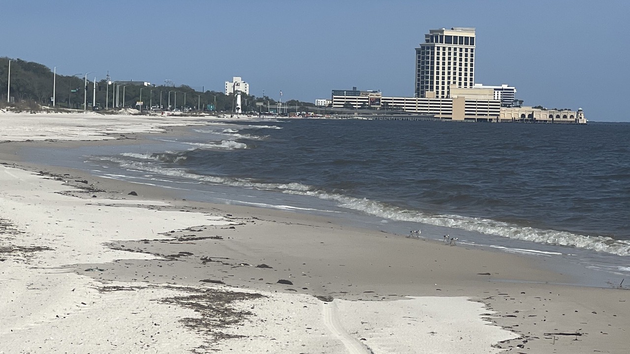 Photo of Others in Biloxi