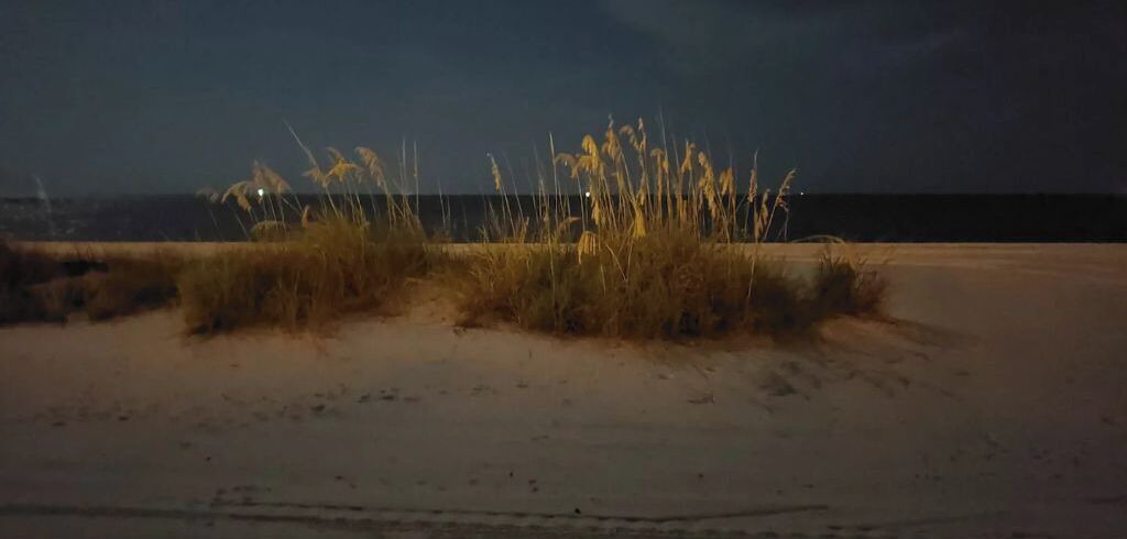 Photo of Others in Biloxi