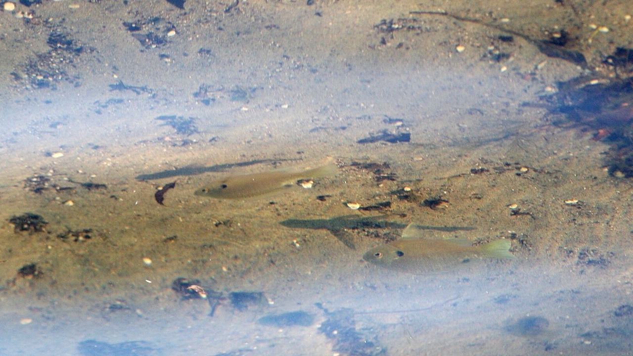 Photo of Outdoor in Alexandria