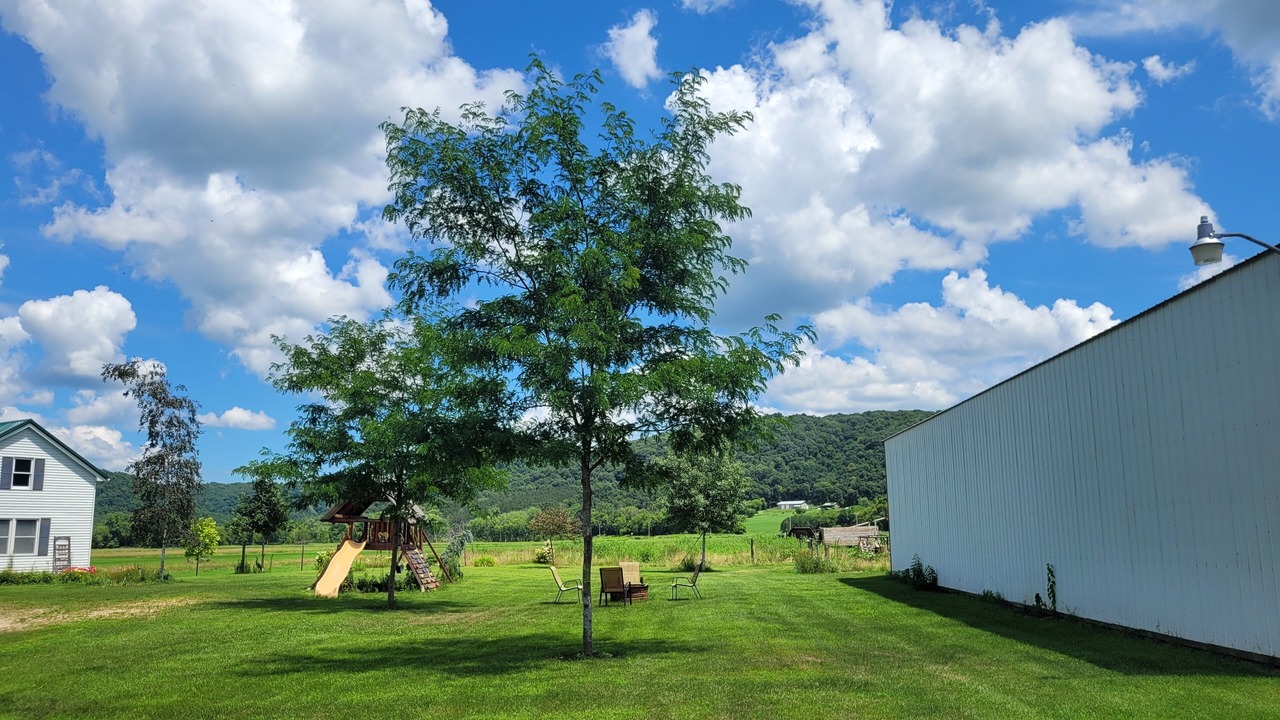 Photo of Outdoor in Haney