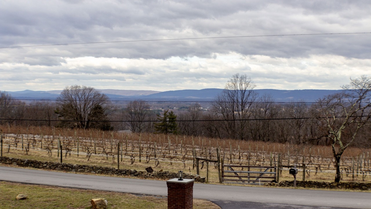 Photo of Others in Blue Ridge