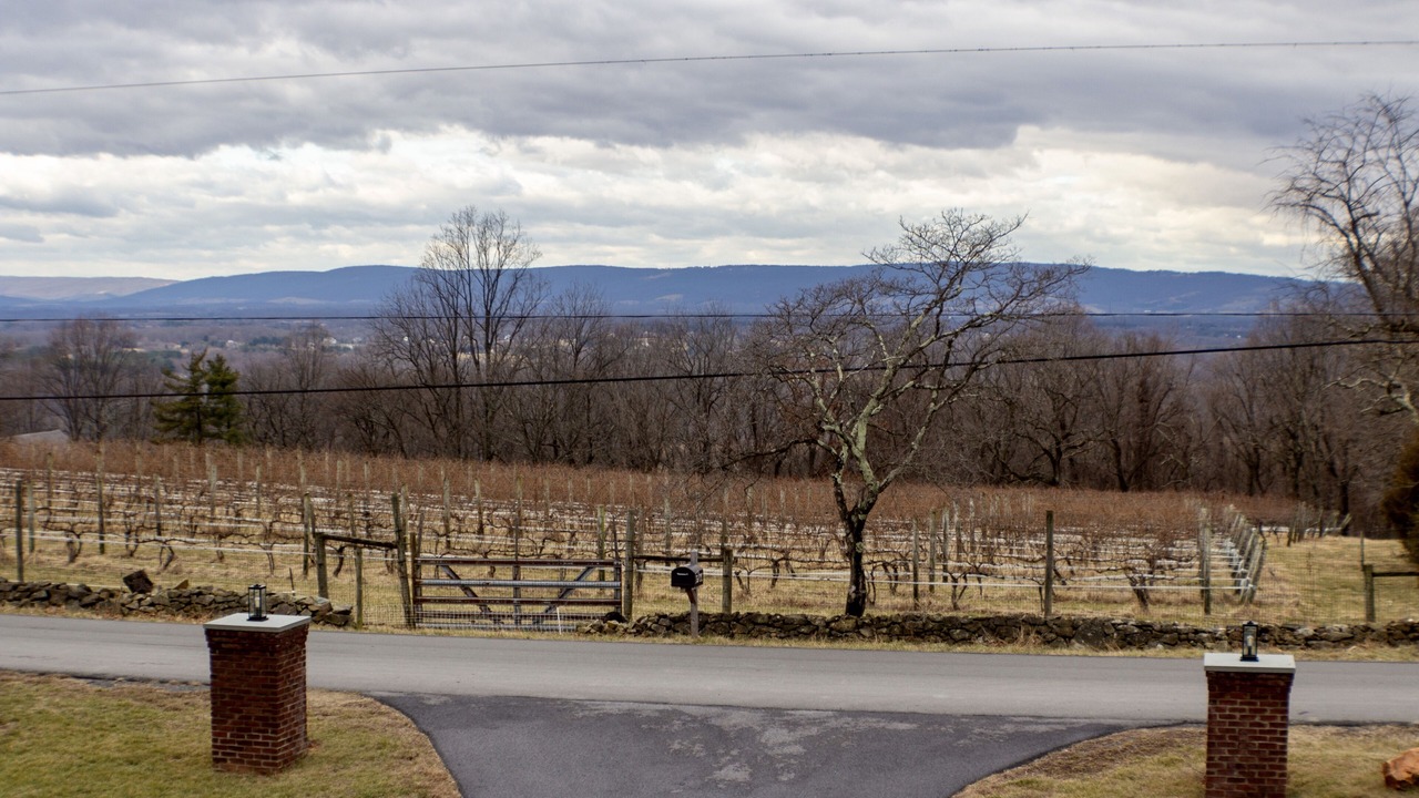 Photo of Others in Blue Ridge