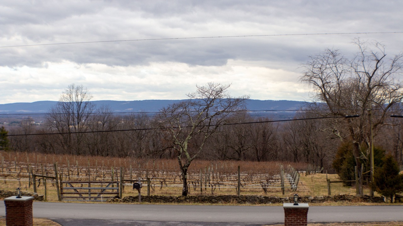 Photo of Others in Blue Ridge