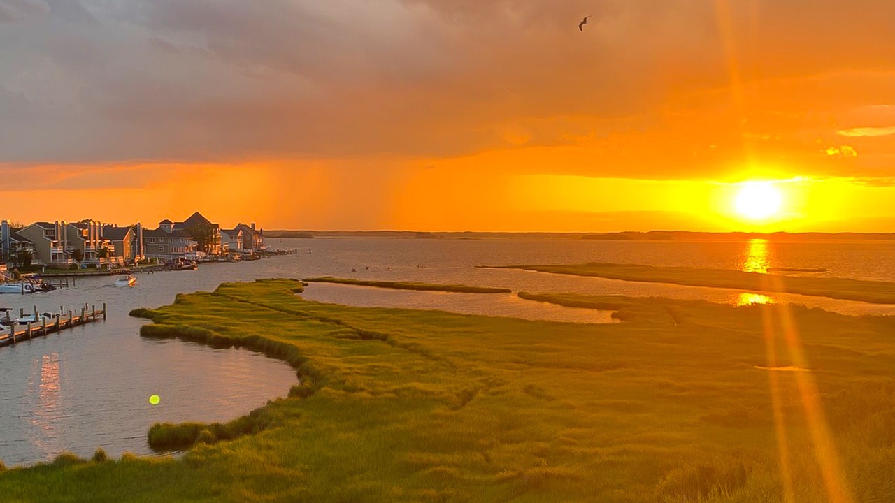 Photo of Others in North Ocean City