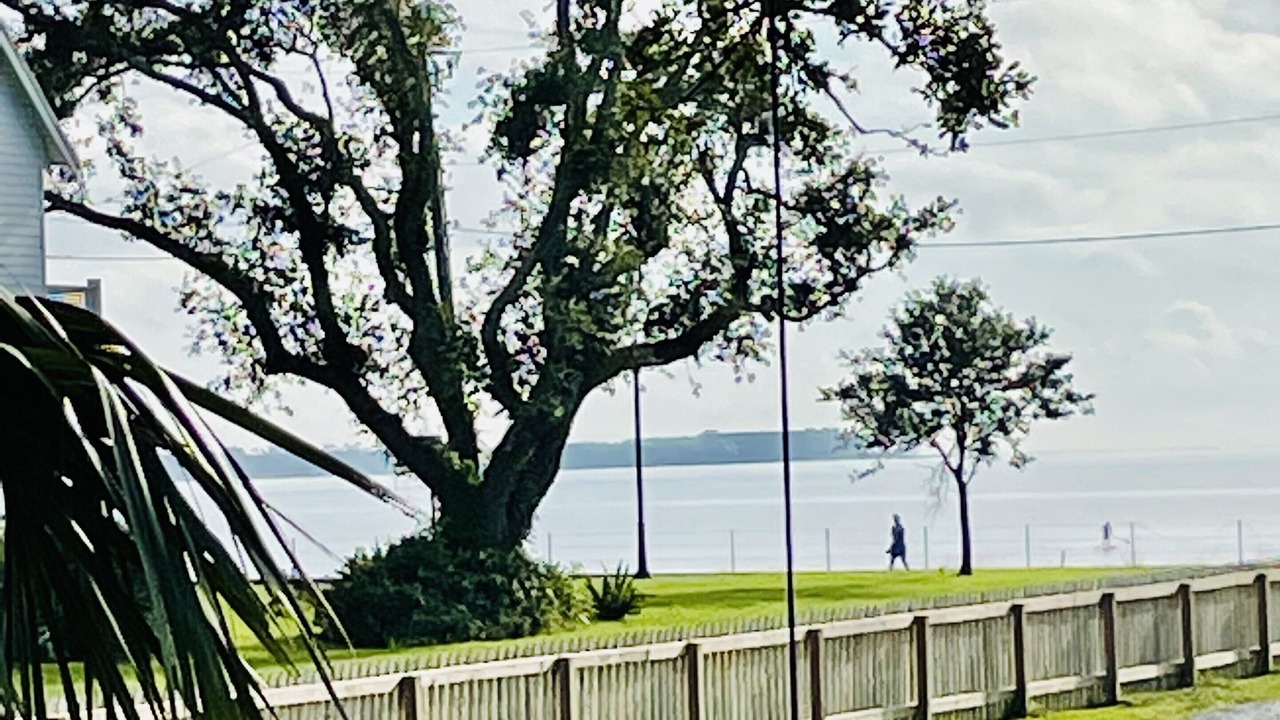 Photo of Outdoor in Old Town